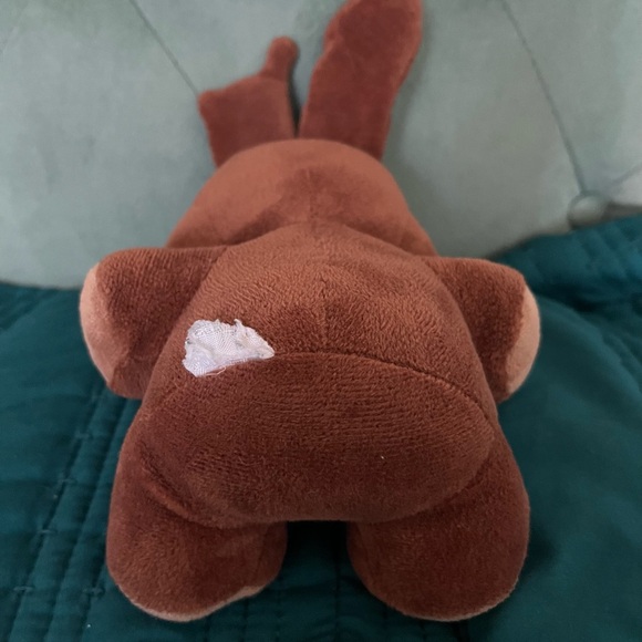 Funko Five Nights At Freddy’s Chocolate Bonnie Plush 2021 8in -used. Tag cut - Picture 2 of 2